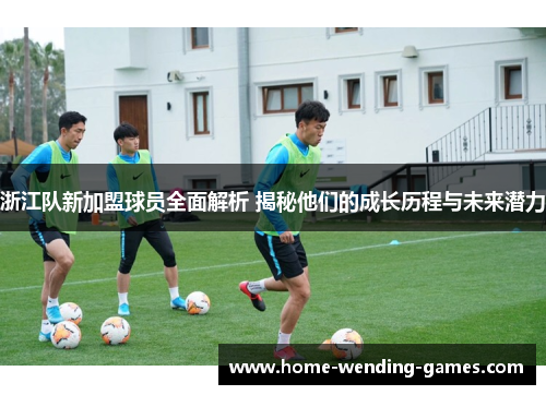 浙江队新加盟球员全面解析 揭秘他们的成长历程与未来潜力
