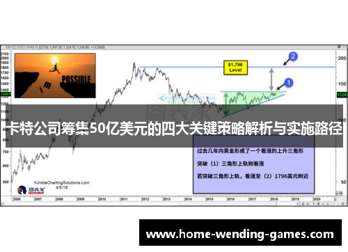 卡特公司筹集50亿美元的四大关键策略解析与实施路径