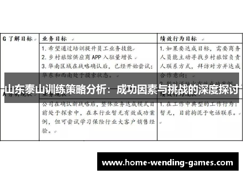 山东泰山训练策略分析：成功因素与挑战的深度探讨
