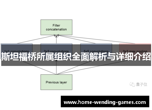 斯坦福桥所属组织全面解析与详细介绍