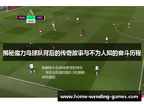 揭秘魔力鸟球队背后的传奇故事与不为人知的奋斗历程