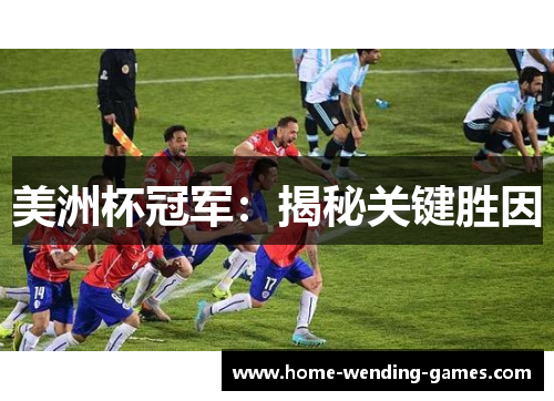 美洲杯冠军：揭秘关键胜因