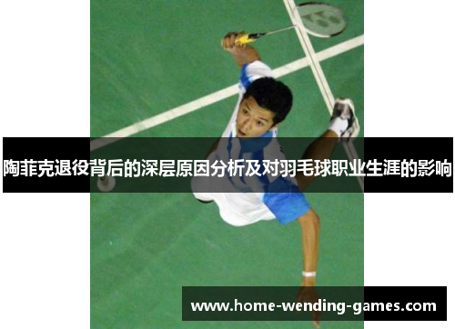 陶菲克退役背后的深层原因分析及对羽毛球职业生涯的影响 陶菲克退役背后的深层原因分析及对羽毛球职业生涯的影响